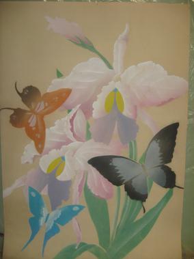 Butterflies 24" x 34"